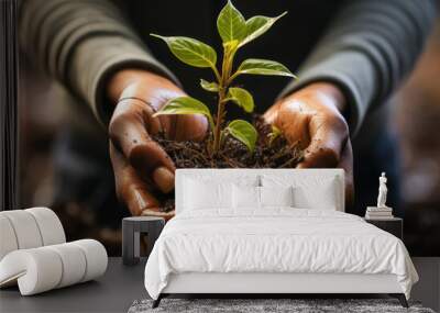 Close-up photo of two human hands holding soil and green plant. World Environment Day,  Earth Day, enviromental issues, carbon footprint, environment, agriculture, ecology, gardening, seedling Wall mural