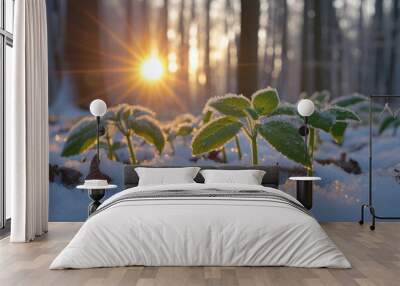 Concept of winter and cold days. Plant leaves in the snow with a sunset, sunrise and forest backgroud. Wall mural