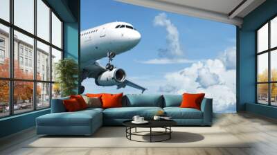 Jet plane in flight Wall mural