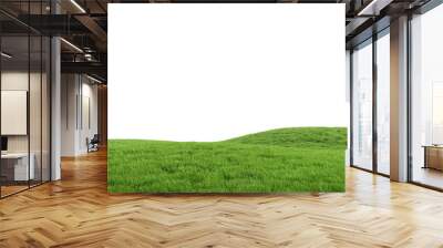 Realistic green grass hills isolated on white background. Bright 3d illustration. Wall mural