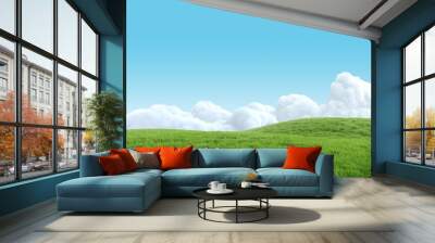 Realistic green grass hills on blue sky with clouds. Bright 3d illustration. Wall mural