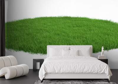 Round surface patch covered with green grass isolated on white background. Realistic natural element for design. Bright 3d illustration. Wall mural