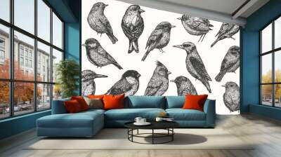 Set bird hand drawn isolated on white background. Collection vector element in sketch monochrome style. Vintage illustration. Wall mural