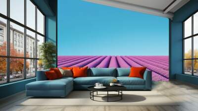 A picturesque view of vibrant lavender fields stretching under a clear blue sky, showcasing the beauty of nature and tranquility in rural landscapes. Wall mural