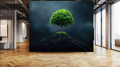 Low-angle shot of a tree with dense foliage against a stormy sky Wall mural