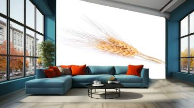 Ear of barley on white background Wall mural