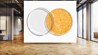 Carnauba Wax in Petri dish with plastic lid on laboratory table. Top view Wall mural