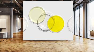 Cetyl esters wax, Poly Aluminium chloride liquid, Potassium chromate and Microcrystalline wax in Petri dish on white laboratory table. Chemical ingredient for Cosmetic and Toiletries product. Top View Wall mural