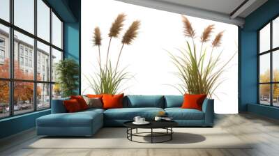 3D illustration of isolated reeds on white or transparent background Wall mural