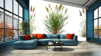 3d render of reeds without shadow isolated on white or transparent background Wall mural