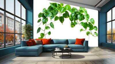 Golden pothos heart shaped green yellow leaves isolated on white or transparent background Wall mural