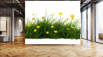 Green grass bush with yellow flowers on top isolated on transparent background Wall mural