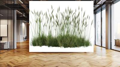 set of long grass fields isolated on transparent or white background, 3d rendering Wall mural