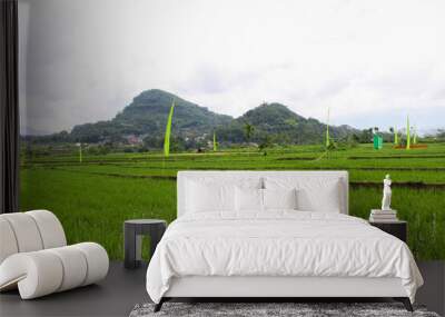 Extensive rice fields and several flags around the rice fields with two mountains in the background Wall mural