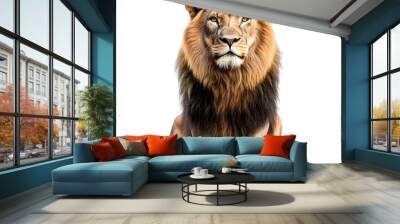 Majestic lion sitting with a regal expression and a well-groomed mane, isolated on a white background. Wall mural