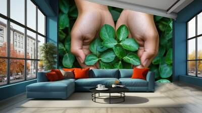 Hands gently holding green leaves, symbolizing care and nature conservation. Wall mural