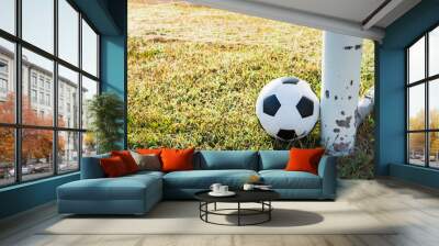 View of classic leather soccer ball on goal net in green grass field the arena stadium. Traditional black and white football equipment to play competitive game. Sports tournament concept.  Wall mural