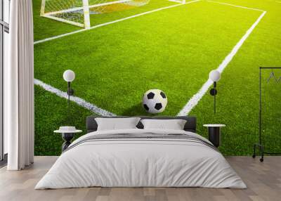 Soccer grass field with marking and ball, Sport Wall mural