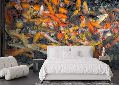 fish in the water Wall mural