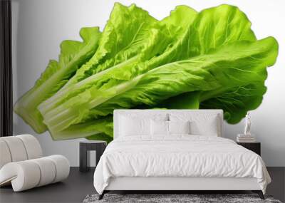 A lettuce leaf clipart, nature element, 3D illustration, green, isolated on white background Wall mural