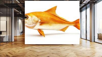 Amberjack clipart, element, 3D illustration, realistic, isolated on white background Wall mural