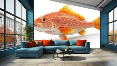 Snapper clipart, element, 3D illustration, realistic, isolated on white background Wall mural