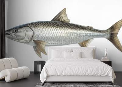 Tarpon clipart, element, 3D illustration, realistic, isolated on white background Wall mural