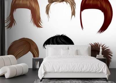 Set of hair styling for woman Wall mural