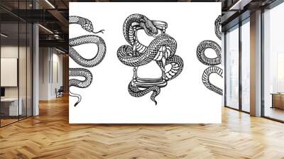 snakes illustrations vector design elements for designers Wall mural