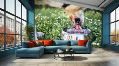 Dog drinking water from bowl Wall mural