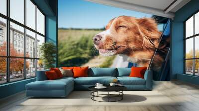 Dog travel by car Wall mural