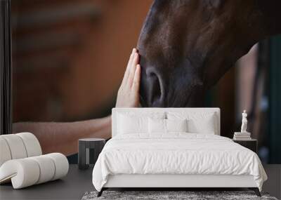 Friendship between man and his horse. Human hand stroking horse head in stable.. Wall mural