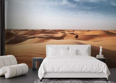 Sand dunes in desert landscape Wall mural