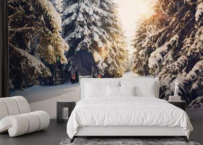 Trip to winter nature Wall mural