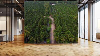 Aerial view of coconut palm trees plantation and middle plantation road. Wall mural