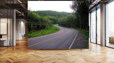 Road  pathway to success , The winding road to the mountain.Concept of the road for the success,Select focus. Wall mural