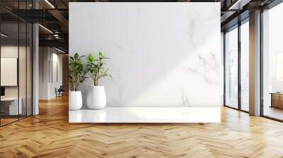 white marble with potted plants. with copy space Wall mural