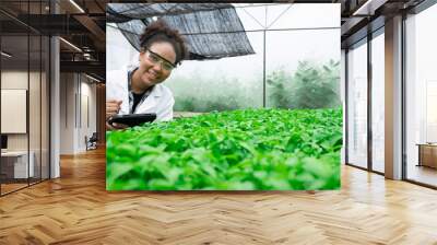 African Scientists examined the quality of vegetable organic vegetable  lettuce from hydroponic farm and recorded them in Digital tablet.Expert Biologist Quality inspection in green house plantation. Wall mural