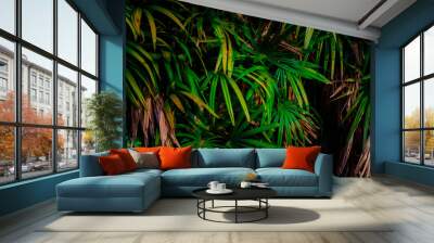 Leaves in the rainforest in Asia Leaves in the forest Beautiful nature background of vertical garden with tropical green leaf Wall mural