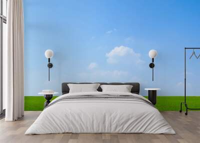 sky and green field background panorama Wall mural