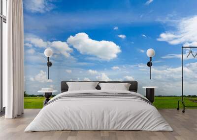 sky and green grass field background. Wall mural