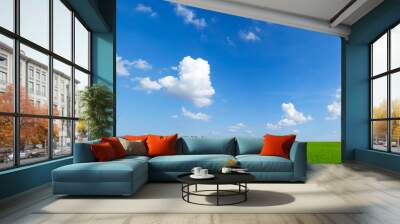 sky with clouds and green field background panorama Wall mural