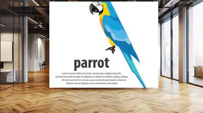 Cartoon parrots color blue . vector illustration. Wall mural