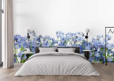 Row of wild forget me not flowers. Blossom forget-me-not, myosotis on white background. Wall mural