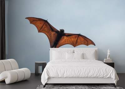 Bats are flying in the blue sky Wall mural