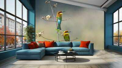 Beautiful bird  Chestnut-headed Bee-eater Wall mural