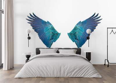 Closeup blue and gold macaw wings isolated on white background Wall mural