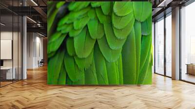 Closeup green feathers of macaw parrot Wall mural