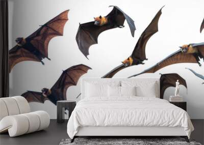 set of flying bats isolated on white background Wall mural