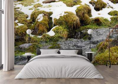 spring in the mountains with melt water in a creek Wall mural